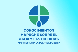 LOGOlibromapuche