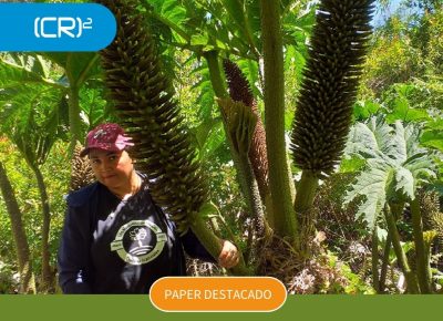 PAPER DESTACADO POST - 3